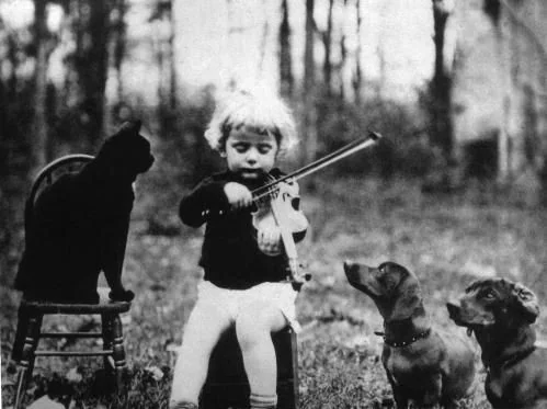 bien être animal vintage gallery of animal photos v0 0zt9zlryf74c1